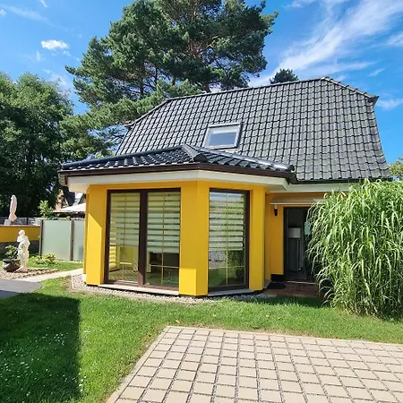 Ostseekrabbe *